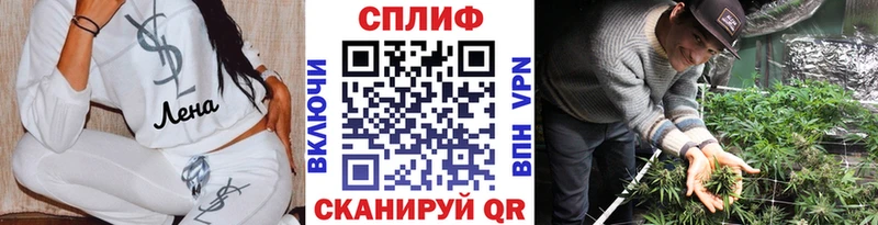 Какие есть наркотики Пересвет Каннабис  Кокаин  СОЛЬ  Галлюциногенные грибы  МЕТАМФЕТАМИН  Меф мяу мяу 