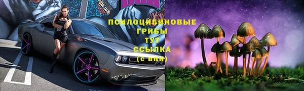 крисы Балабаново