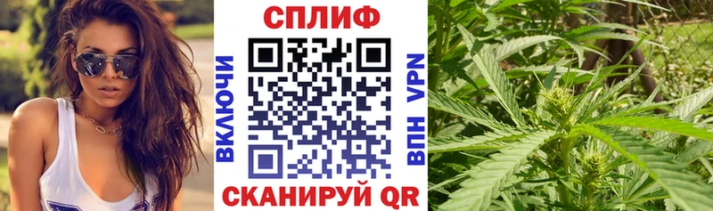 Марихуана White Widow Пересвет